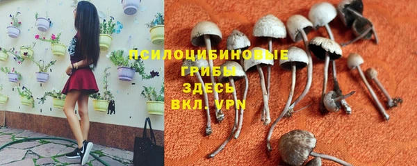 соль ск Арсеньев