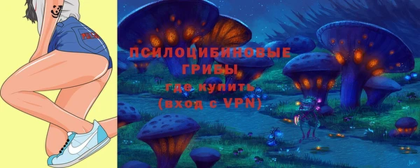 соль ск Арсеньев