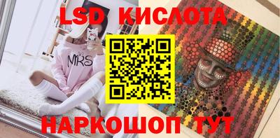 дживик Можга
