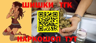 дживик Можга