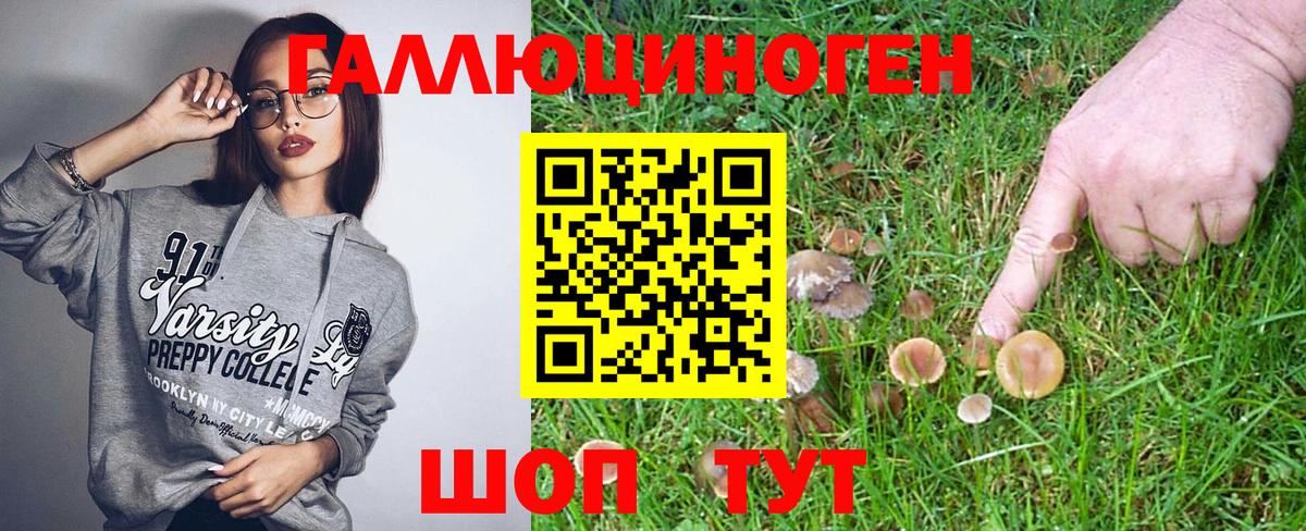 Псилоцибиновые грибы GOLDEN TEACHER Гуково