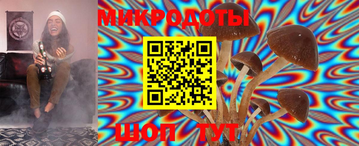 Гуково  Псилоцибиновые грибы Psilocybe  Галлюциногенные грибы Psilocybe  Вход с VPN 